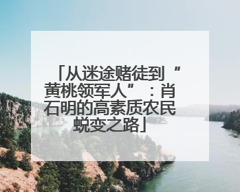 从迷途赌徒到“黄桃领军人”：肖石明的高素质农民蜕变之路