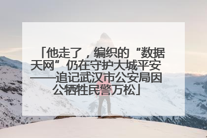 他走了，编织的“数据天网”仍在守护大城平安——追记武汉市公安局因公牺牲民警万松