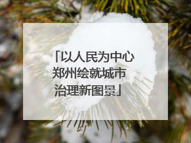 以人民为中心 郑州绘就城市治理新图景