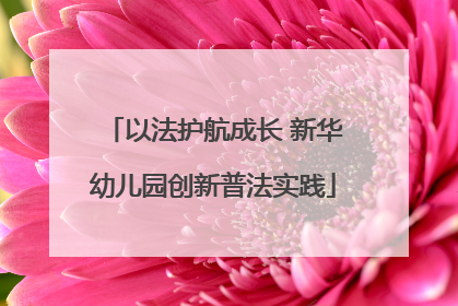 以法护航成长 新华幼儿园创新普法实践