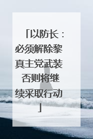 以防长：必须解除黎真主党武装 否则将继续采取行动