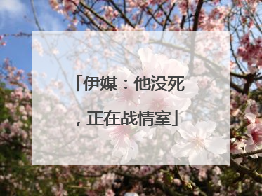 伊媒：他没死，正在战情室
