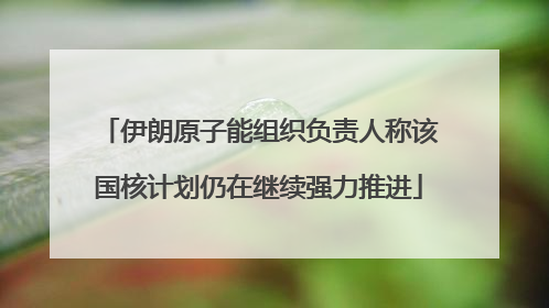 伊朗原子能组织负责人称该国核计划仍在继续强力推进