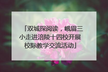 双城探阅读，峨眉三小走进涪陵十四校开展校际教学交流活动