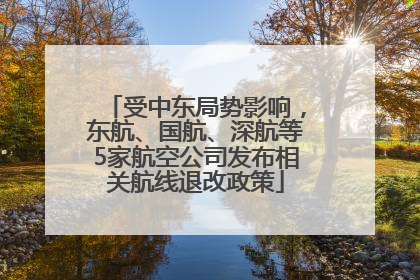 受中东局势影响，东航、国航、深航等5家航空公司发布相关航线退改政策