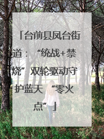 台前县凤台街道：“统战+禁烧”双轮驱动守护蓝天 “零火点”