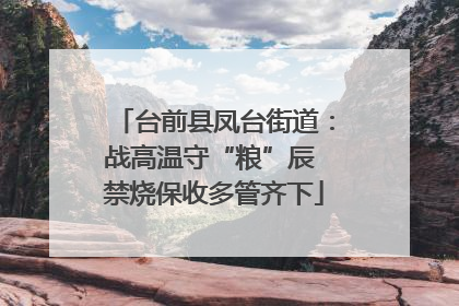 台前县凤台街道：战高温守“粮”辰 禁烧保收多管齐下