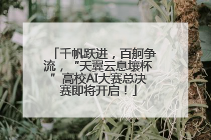 千帆跃进，百舸争流，“天翼云息壤杯”高校AI大赛总决赛即将开启！