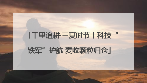 千里追耕·三夏时节丨科技“铁军”护航 麦收颗粒归仓