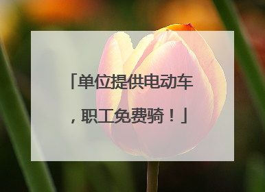 单位提供电动车，职工免费骑！