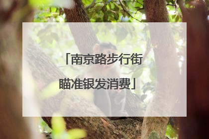 南京路步行街瞄准银发消费