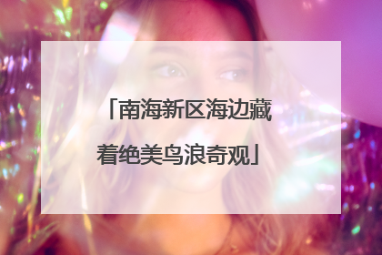 南海新区海边藏着绝美鸟浪奇观