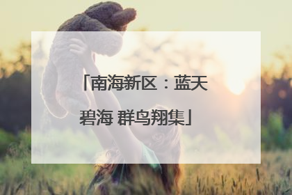 南海新区：蓝天碧海 群鸟翔集