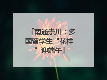 南通崇川：多国留学生“花样”迎端午