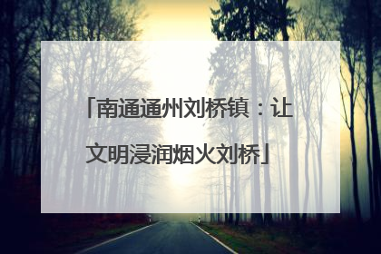 南通通州刘桥镇：让文明浸润烟火刘桥