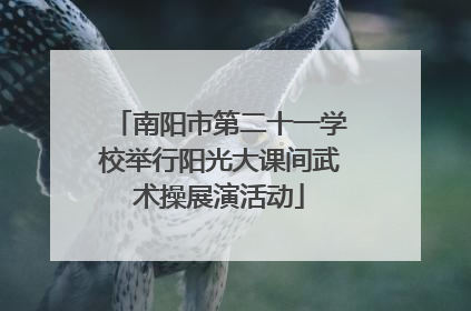 南阳市第二十一学校举行阳光大课间武术操展演活动
