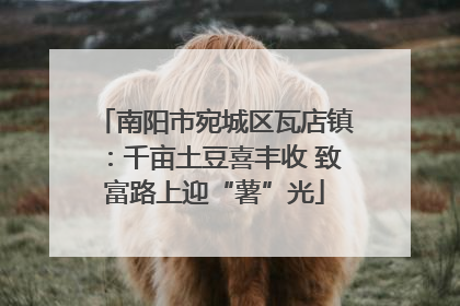 南阳市宛城区瓦店镇：千亩土豆喜丰收 致富路上迎“薯”光