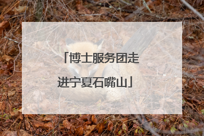 博士服务团走进宁夏石嘴山