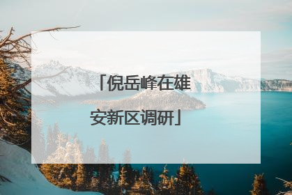 倪岳峰在雄安新区调研