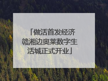 做活首发经济 赣湘边奥莱数字生活城正式开业
