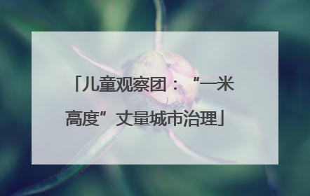 儿童观察团：“一米高度”丈量城市治理
