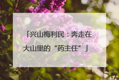 兴山梅利民：奔走在大山里的“药主任”
