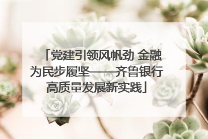 党建引领风帆劲 金融为民步履坚——齐鲁银行高质量发展新实践
