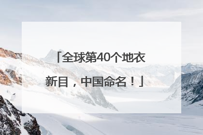全球第40个地衣新目，中国命名！