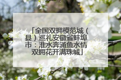 全国双拥模范城（县）巡礼安徽省蚌埠市：淮水奔涌鱼水情 双拥花开满珠城