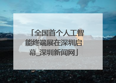 全国首个人工智能终端展在深圳启幕_深圳新闻网