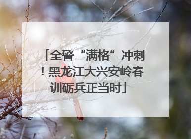 全警“满格”冲刺！黑龙江大兴安岭春训砺兵正当时