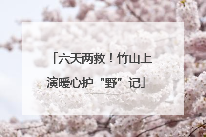 六天两救！竹山上演暖心护“野”记