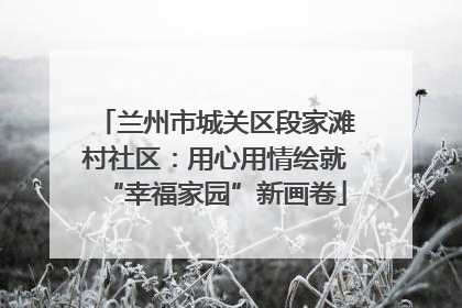 兰州市城关区段家滩村社区：用心用情绘就“幸福家园”新画卷