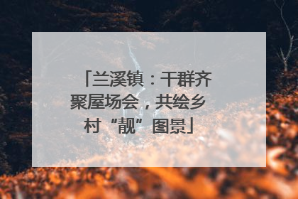 兰溪镇：干群齐聚屋场会，共绘乡村“靓”图景