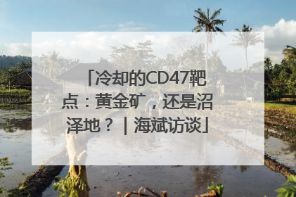 冷却的CD47靶点：黄金矿，还是沼泽地？｜海斌访谈