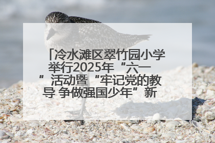 冷水滩区翠竹园小学举行2025年“六一”活动暨“牢记党的教导 争做强国少年”新队员入队仪式