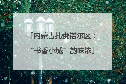 内蒙古扎赉诺尔区：“书香小城”韵味浓
