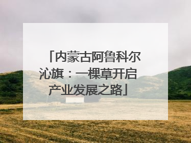 内蒙古阿鲁科尔沁旗：一棵草开启产业发展之路
