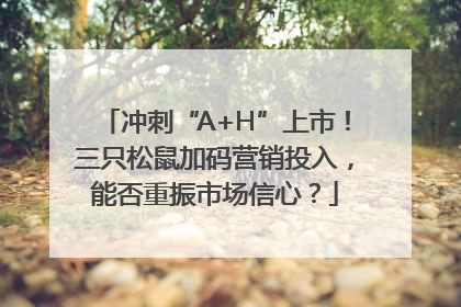 冲刺“A+H”上市！三只松鼠加码营销投入，能否重振市场信心？