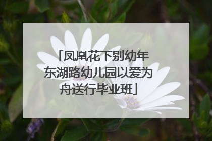 凤凰花下别幼年 东湖路幼儿园以爱为舟送行毕业班