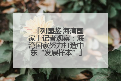 列国鉴·海湾国家丨记者观察：海湾国家努力打造中东“发展样本”