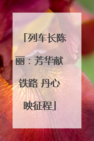列车长陈丽：芳华献铁路 丹心映征程