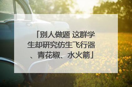 别人做题 这群学生却研究仿生飞行器、青花椒、水火箭
