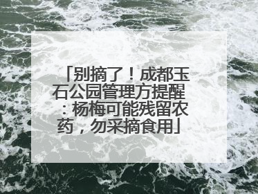 别摘了！成都玉石公园管理方提醒：杨梅可能残留农药，勿采摘食用