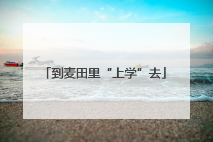 到麦田里“上学”去