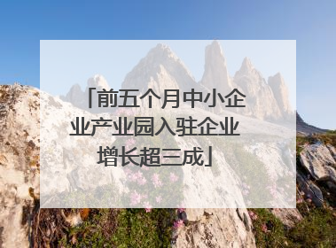 前五个月中小企业产业园入驻企业增长超三成