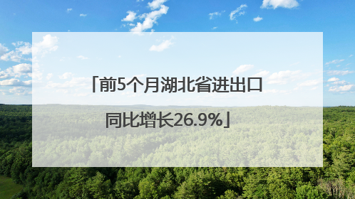 前5个月湖北省进出口同比增长26.9%