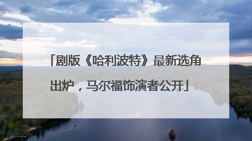 剧版《哈利波特》最新选角出炉，马尔福饰演者公开