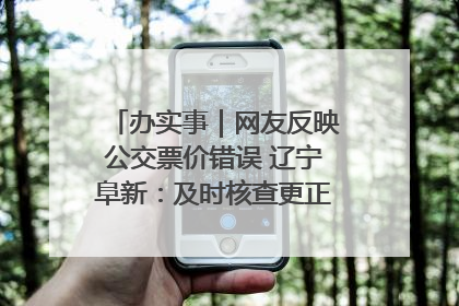 办实事｜网友反映公交票价错误 辽宁阜新：及时核查更正 加强实时巡检