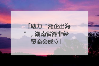 助力“湘企出海”，湖南省湘非经贸商会成立